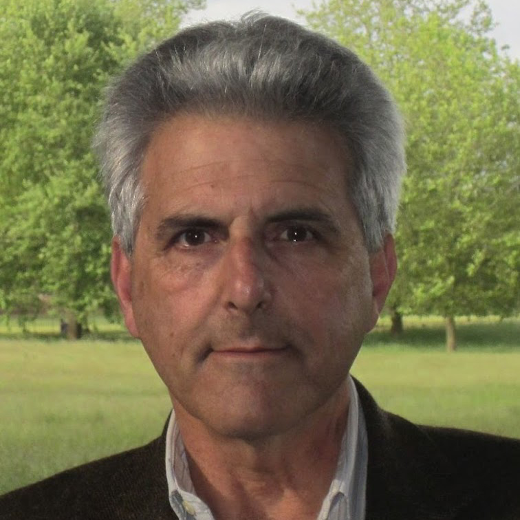 Neil Fligstein-picture